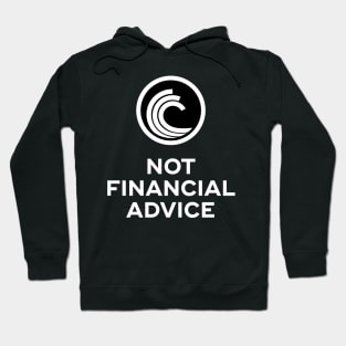 Bittorrent. Not Financial Advice. Hoodie